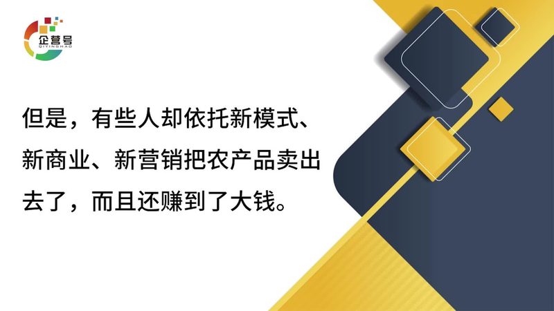 网络营销案例解析：揭秘高ROI背后的成功之道